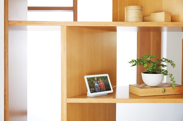 Photo of the Home Hub device, on a shelf next to a pot plant