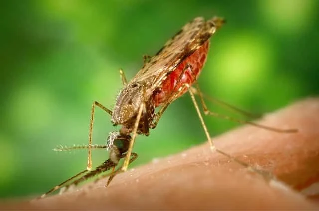 Pengetahuan Dan Sikap Masyarakat Tentang Pencegahan Malaria