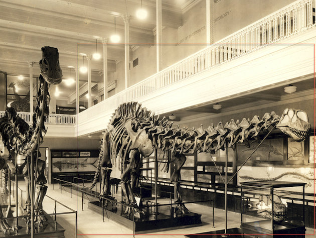 Радиоуправляемая машина brontosaurus