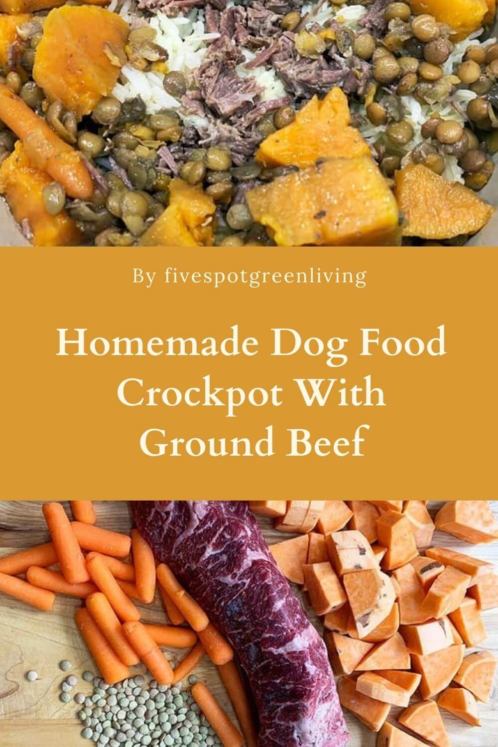Top 8 Homemade Dog Food Crockpot