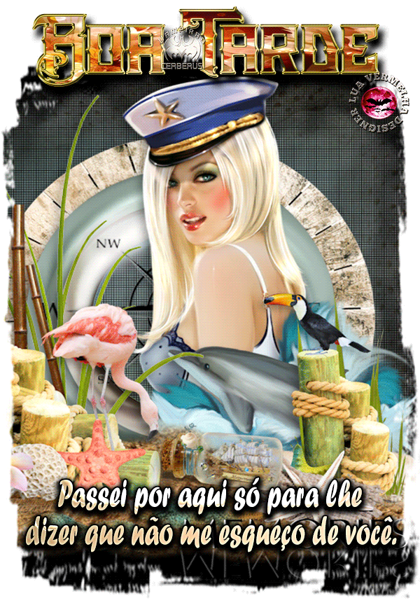 5.gif