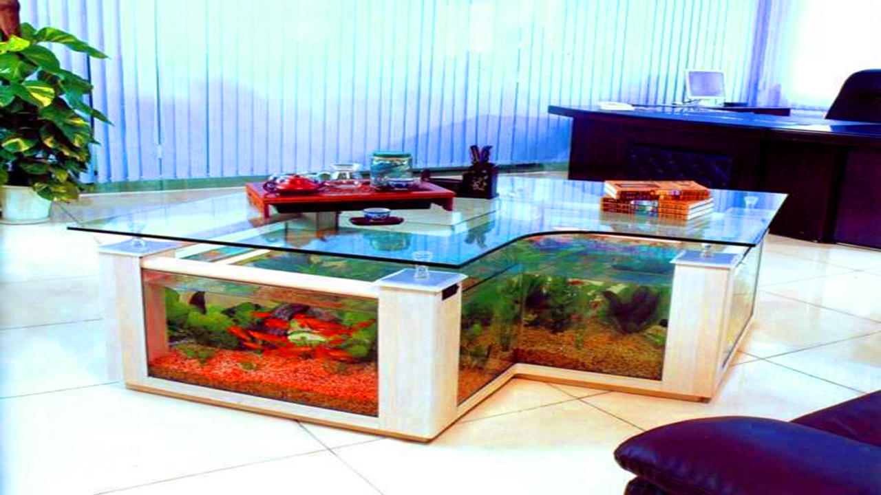 20 Best Aquarium Fish Ideas Integrate Interior House Designs