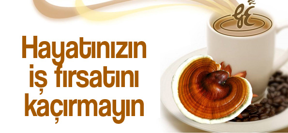 SAĞLIKTA REİSHİ MANTARI Gano Excel İletişim ve Sipariş Bilgilerimiz