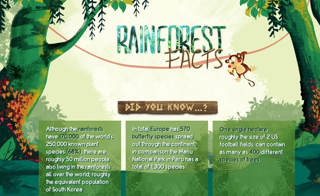 Image: Rainforest Facts #infographic 