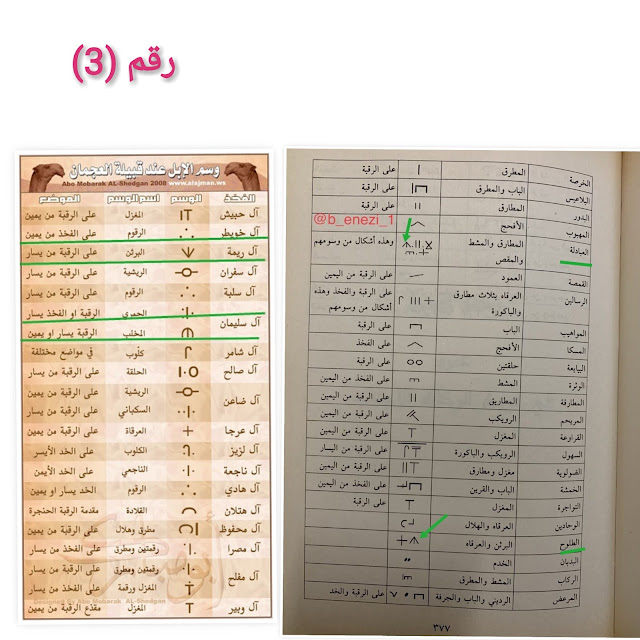 لجنة تحقيق نسب الشيخ عبد القادر الجيلاني
