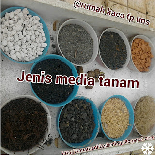 Bening Edufarm: Jenis - Jenis Media Tanam