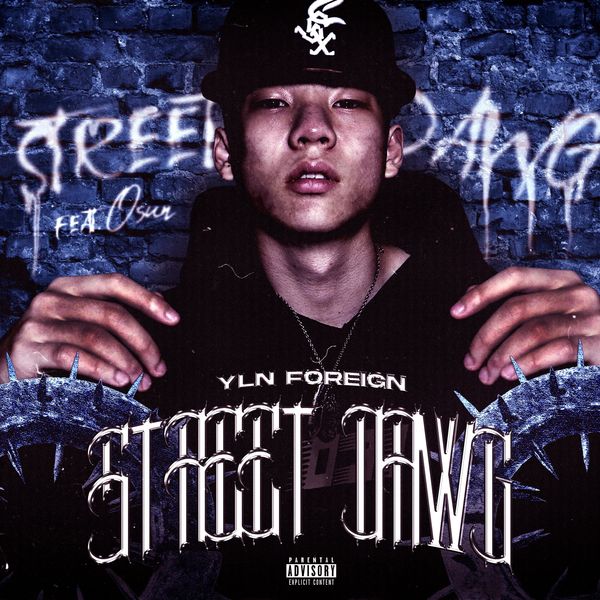 YLN Foreign – Street Dawg – Single