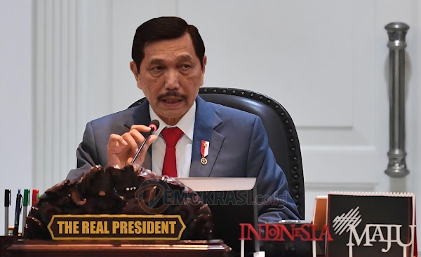 Syahrial Nasution: Mungkin Kalau Pak Luhut Jadi Presiden Sementara, Jauh Lebih Efektif Atasi Covid-19