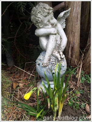 gafi's-Testblog •~°: Highlights of the Week - endlich ist der Fruehling da