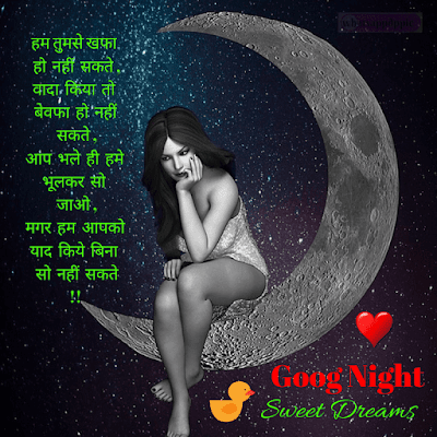 good-night-shayari-with-photo good-night-photo-shayari-hindi