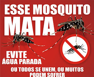 Combata a Dengue em Itapirapuã