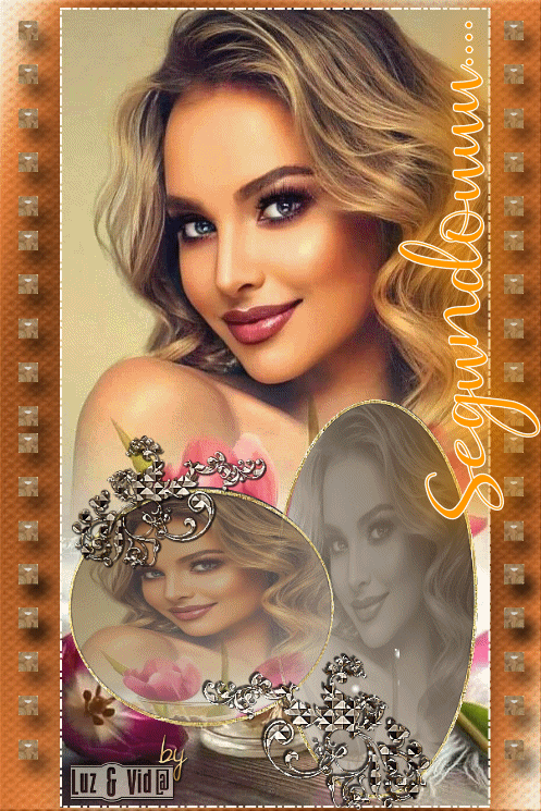 NOVO174-%2528MB%2529maryluz.gif
