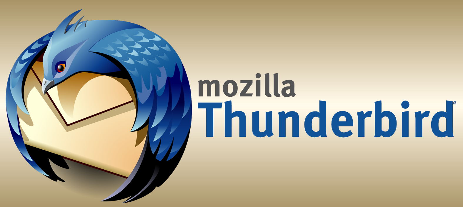 what is mozilla thunderbird index files .msf