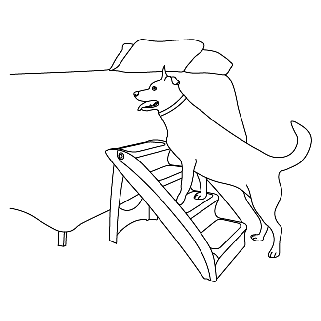 Diagram of dog using steps Diagram of dog walking up steps to a bed