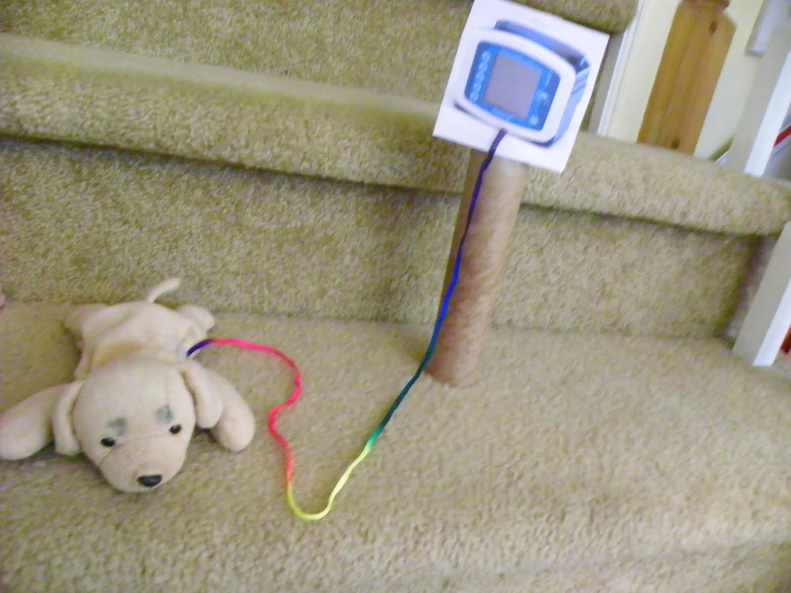 Pray For Lilly Gtubes for dogs??!!