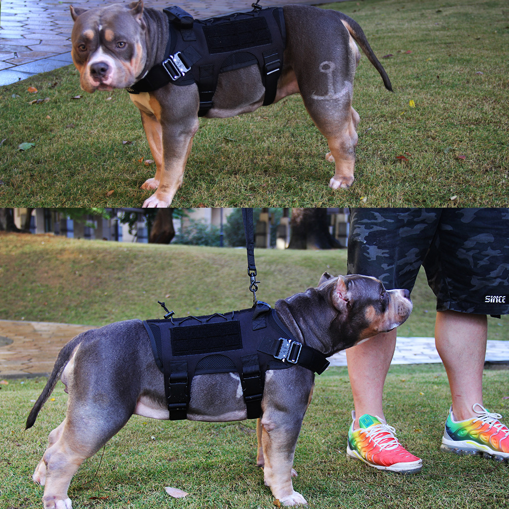 AegisTac Official: AegisTac Tactical Service Dog Training Vest Police ...