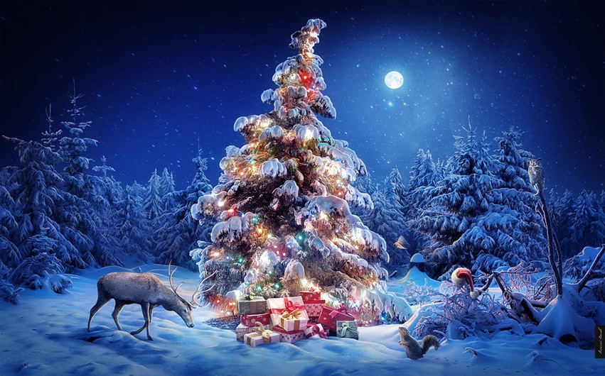 Beautiful Snowy Pictures of Christmas Trees for Greetings 
