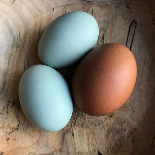 types of all eggs that are edible and full of nutrients ; two types brown and white