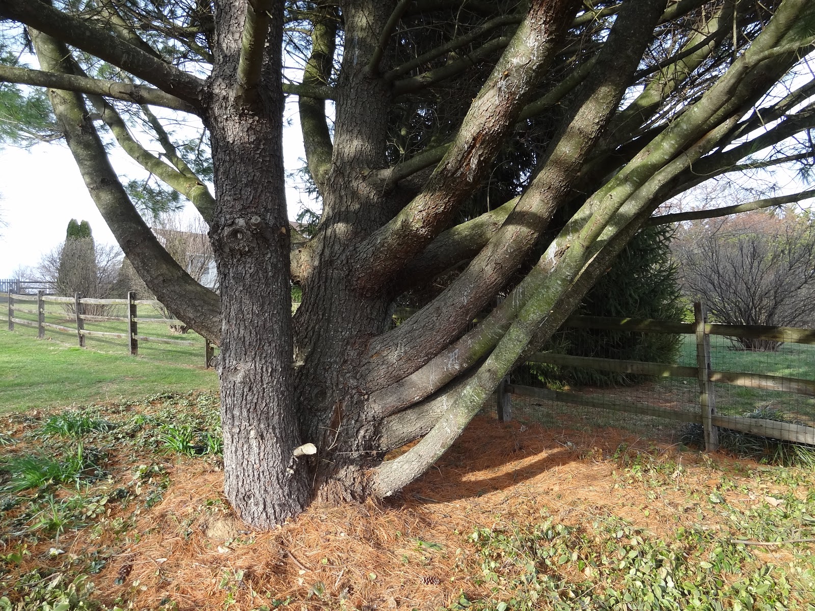 Live and LearnToss and Turn A Second LookMarch 23, 2017