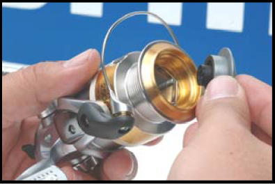 Shimano Spinning Reels Maintenance Guide