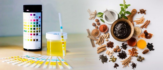 How do I get rid of protein in my urine?
