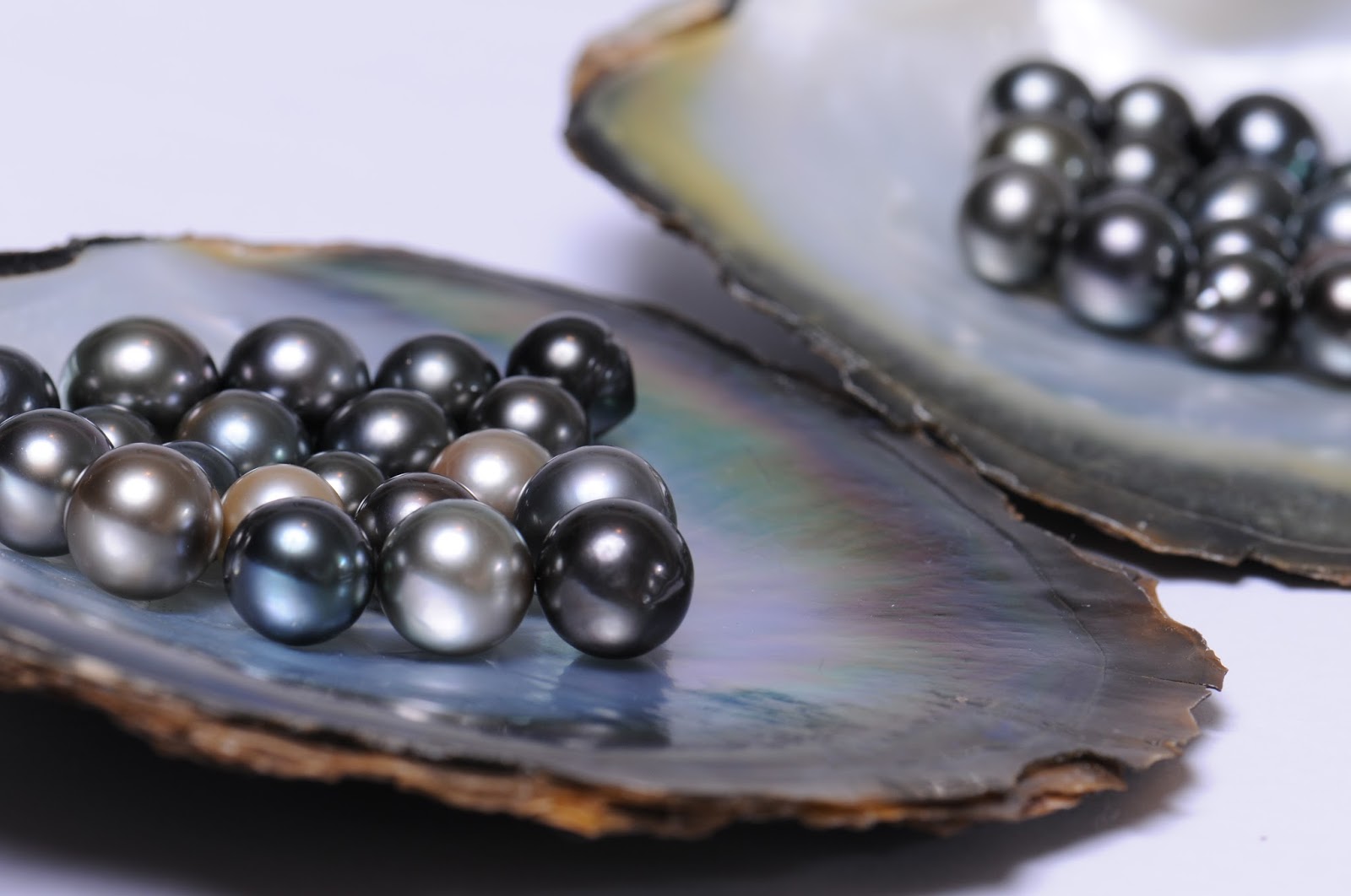 Perolando Pérolas e suas curiosidades