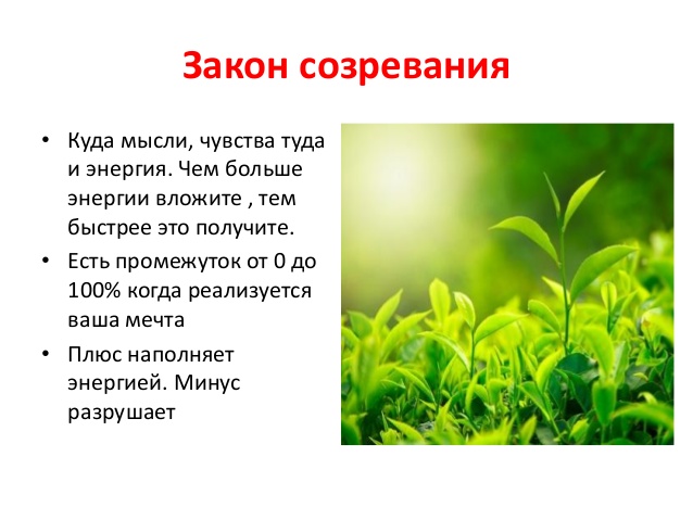 мысли куда. где мысли там и энергия. где ваши мысли там. куда мысль туда и энергия. мысли куда.