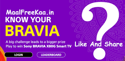 Sony Bravia Challenge