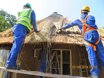 Shona Tribe craftsmen repairing thatched roof on Oliphant Camp guest houses, Kruger National Park