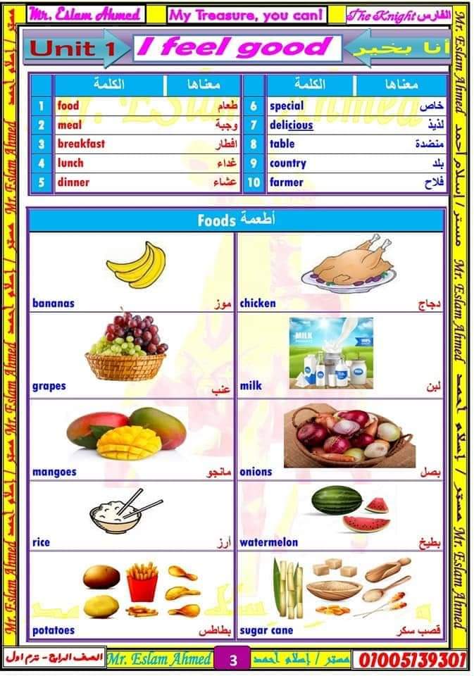 مذكرة لغة انجليزية الصف الرابع الابتدائى الترم الاول 2022، الوحدة الأولى إنجليزي رابعة ابتدائي مستر إسلام أحمد