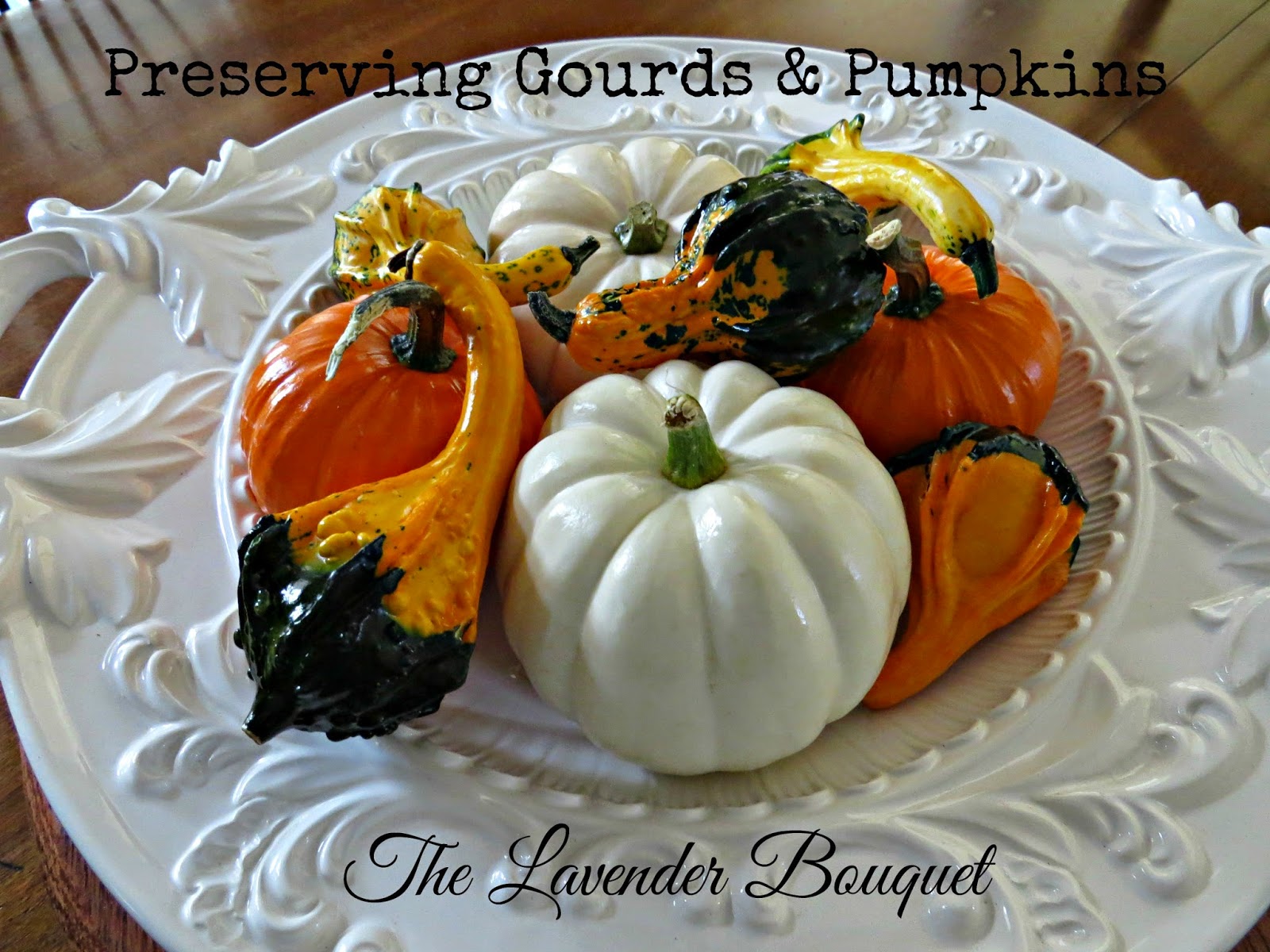 The Lavender Bouquet PRESERVING PUMPKINS & GOURDS
