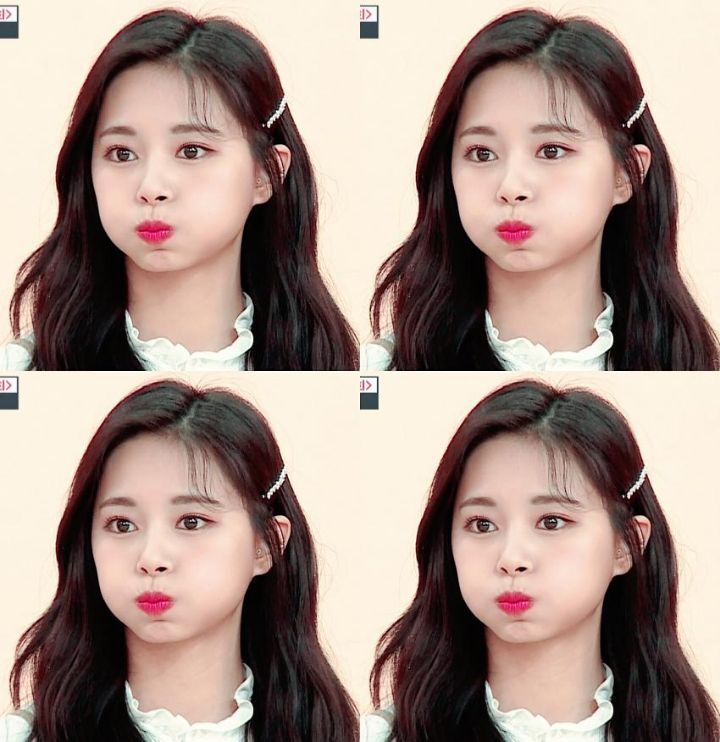 뭔지 모르는 쯔위 - 꾸르