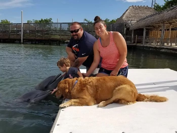 A Golden Retriever And A Dolphin Are Celebrating 8 Years Of Friendship That Blossomed After Meeting In Florida A Golden Retriever And A Dolphin Are Celebrating 8 Years Of Friendship That Blossomed After Meeting In Florida