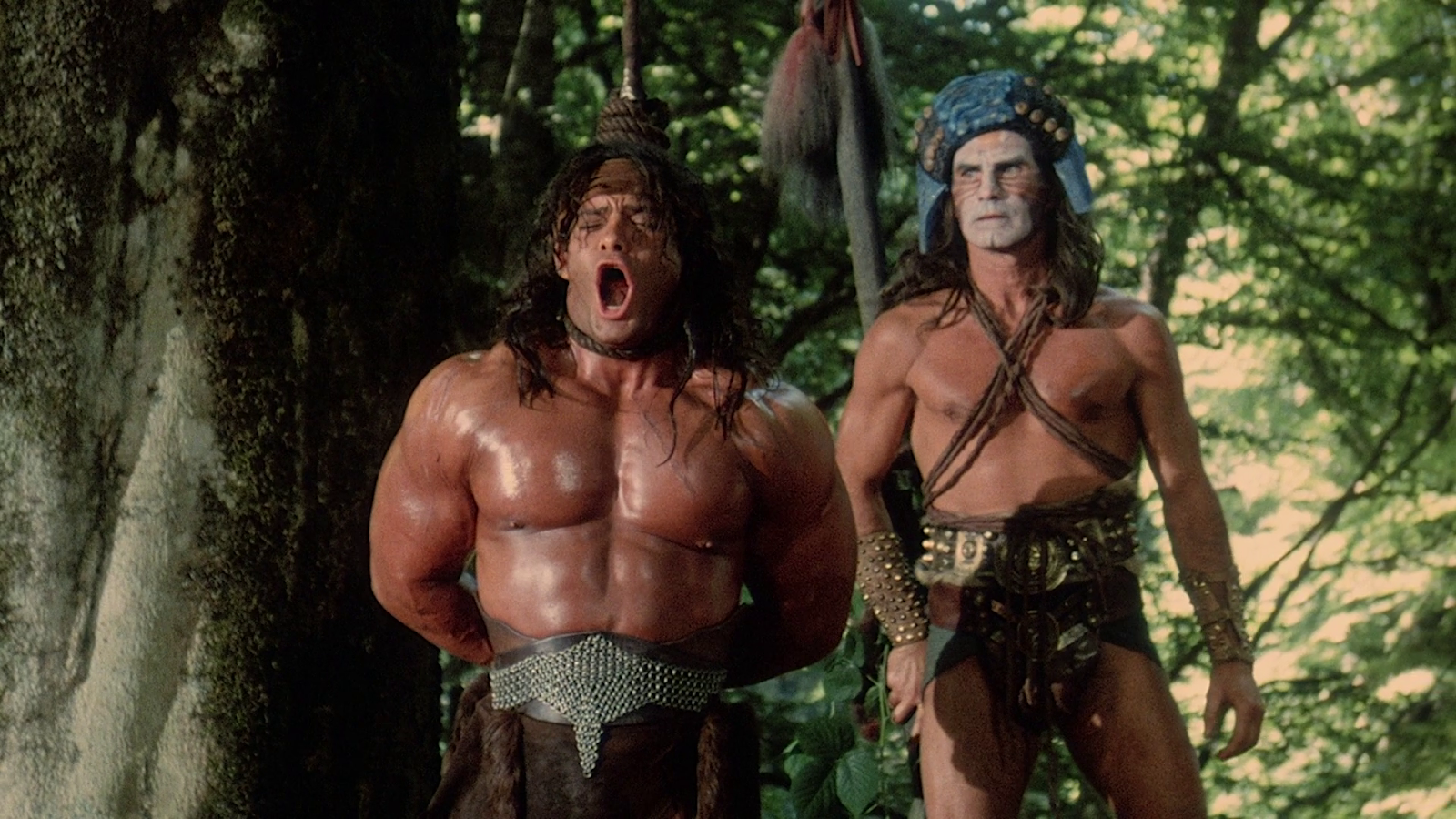 The Barbarian Brothers