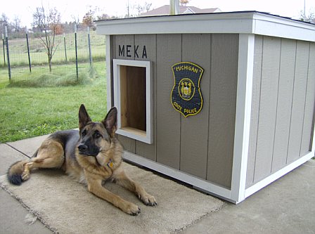Simple Ideas: sipmle ideas for your dog house..very ...