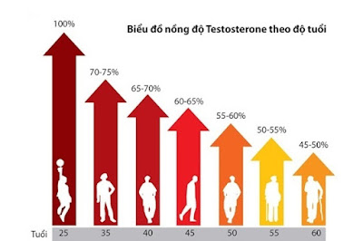 Càng lớn tuổi, lượng nội tiết tố Testosterone càng suy giảm