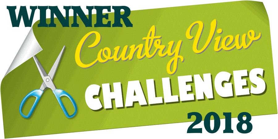 Countryview Crafts Blog Challenge Winner
