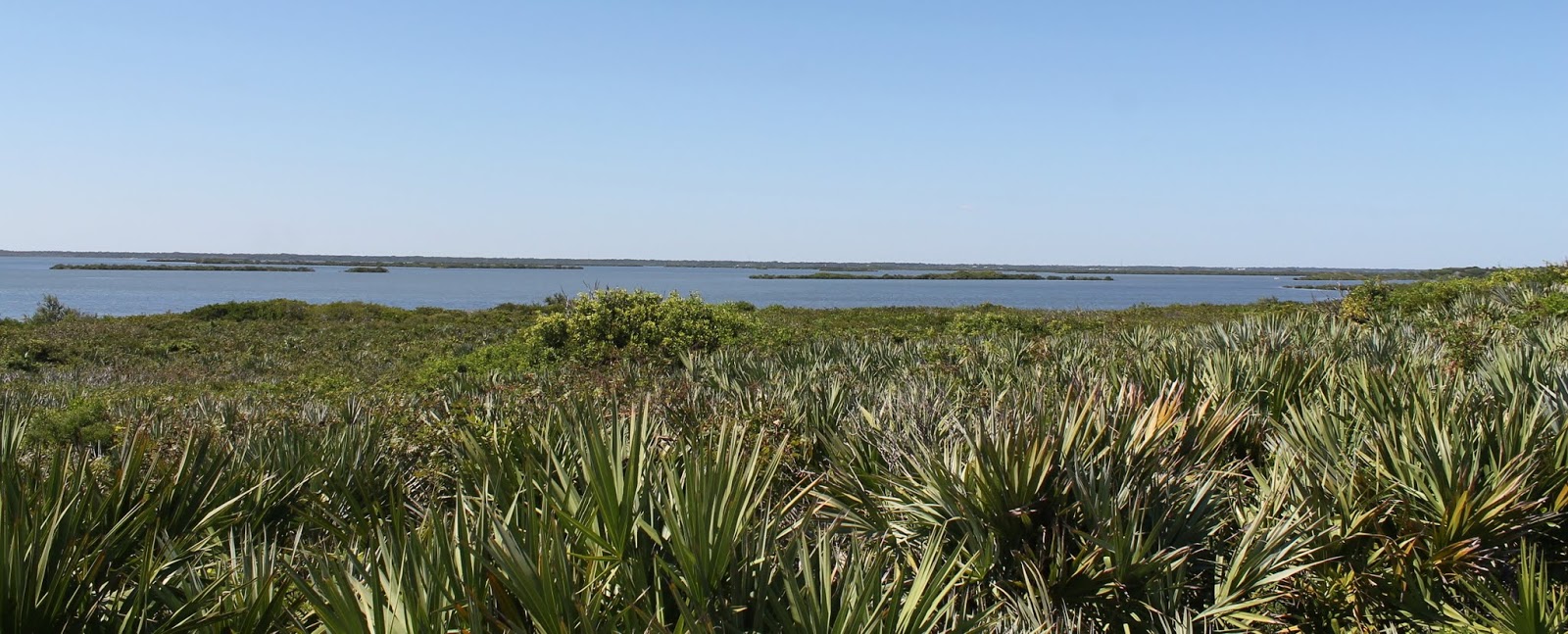 Mosquito Lagoon desde el parque nacional de Canaveral National Seashore Mosquito Lagoon desde el parque nacional de Canaveral National Seashore