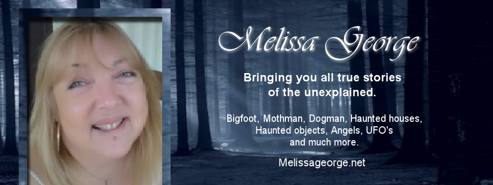 Melissa George Author