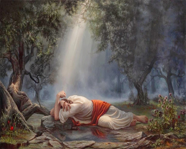 Image result for jesus garden of gethsemane