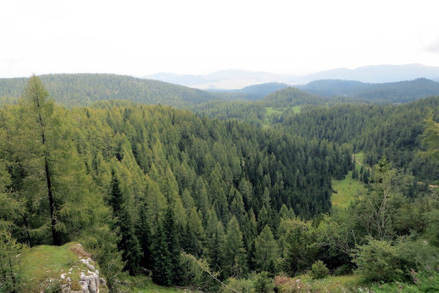 monte ortigara altopiano di asiago