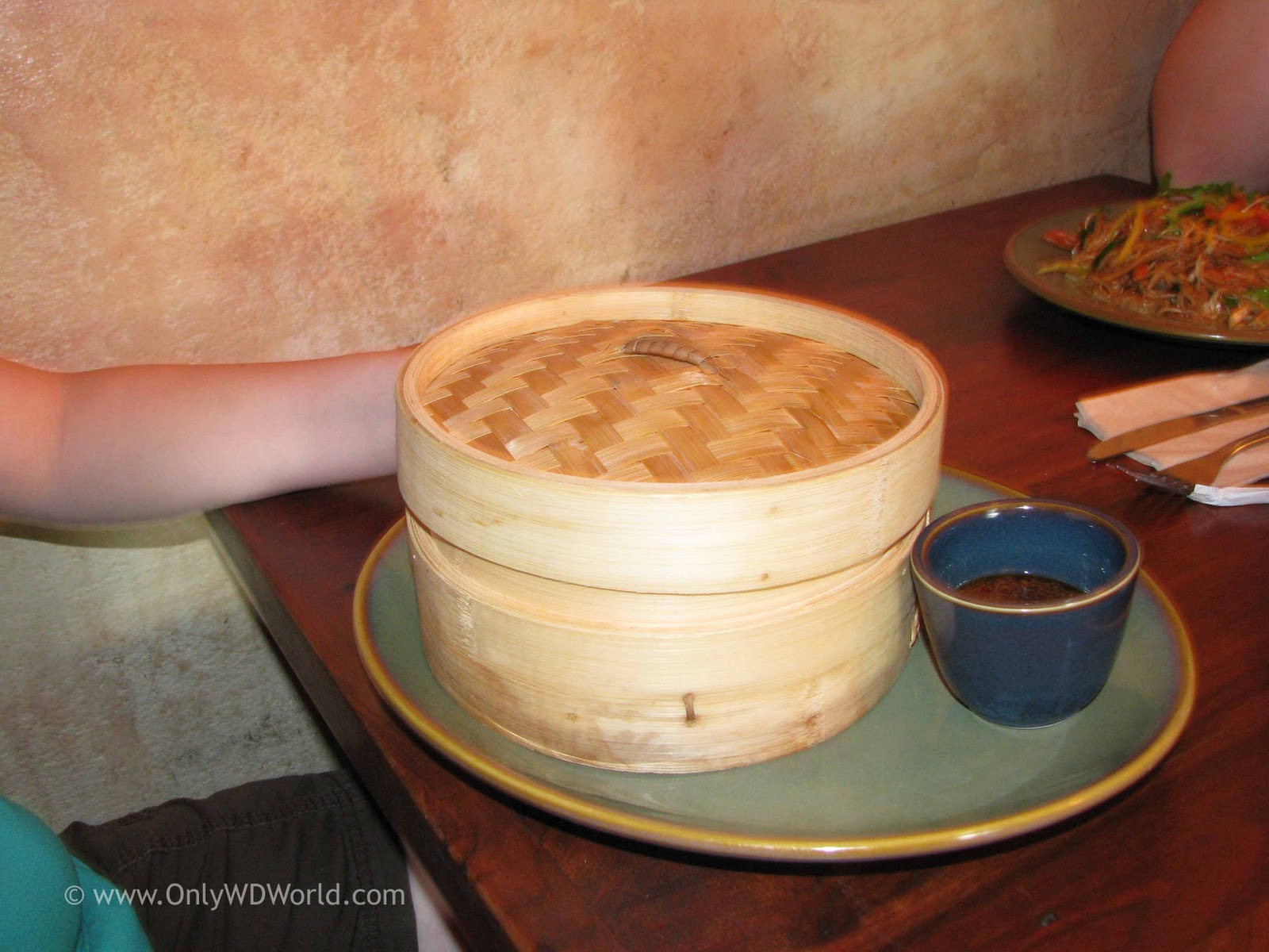 Disney World Dining Yak & Yeti Restaurant Disney World Blog