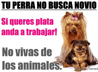 DI NO A LA CRIA Y VENTA DE ANIMALES