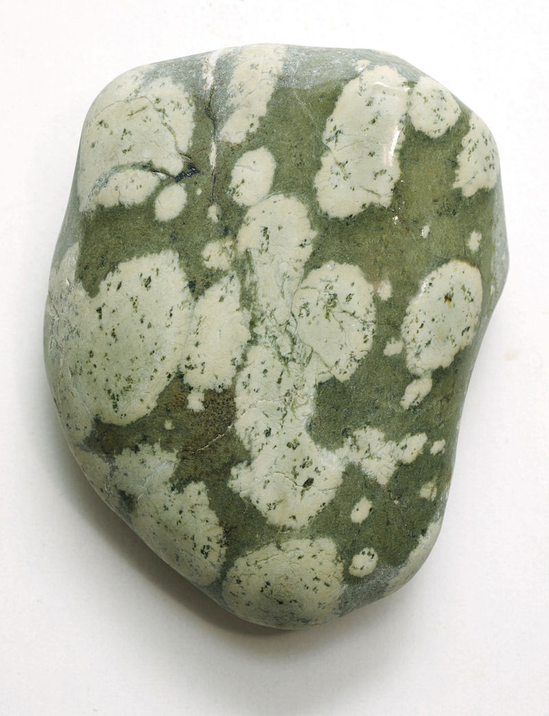 Blog de Linguagens Variolite