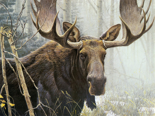 Роберт Бейтмэн / Robert Bateman Bull Moose, 1976