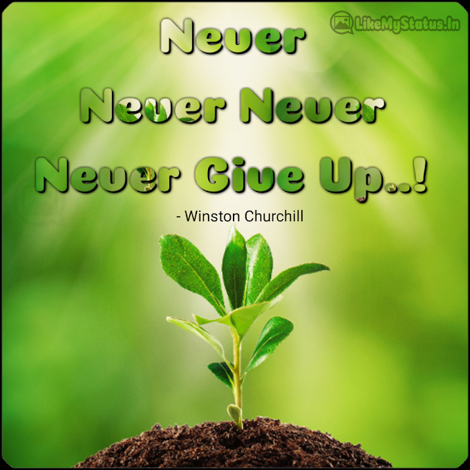 Never Never Never... English Motivation Quote...