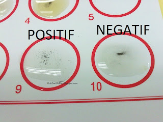 The Millionaire Next Door Deutsch Pdf