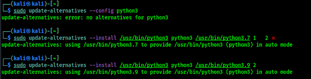 Python Alternatives set Python Alternatives set