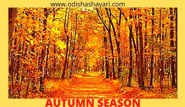 Descriptive essay about autumn picture