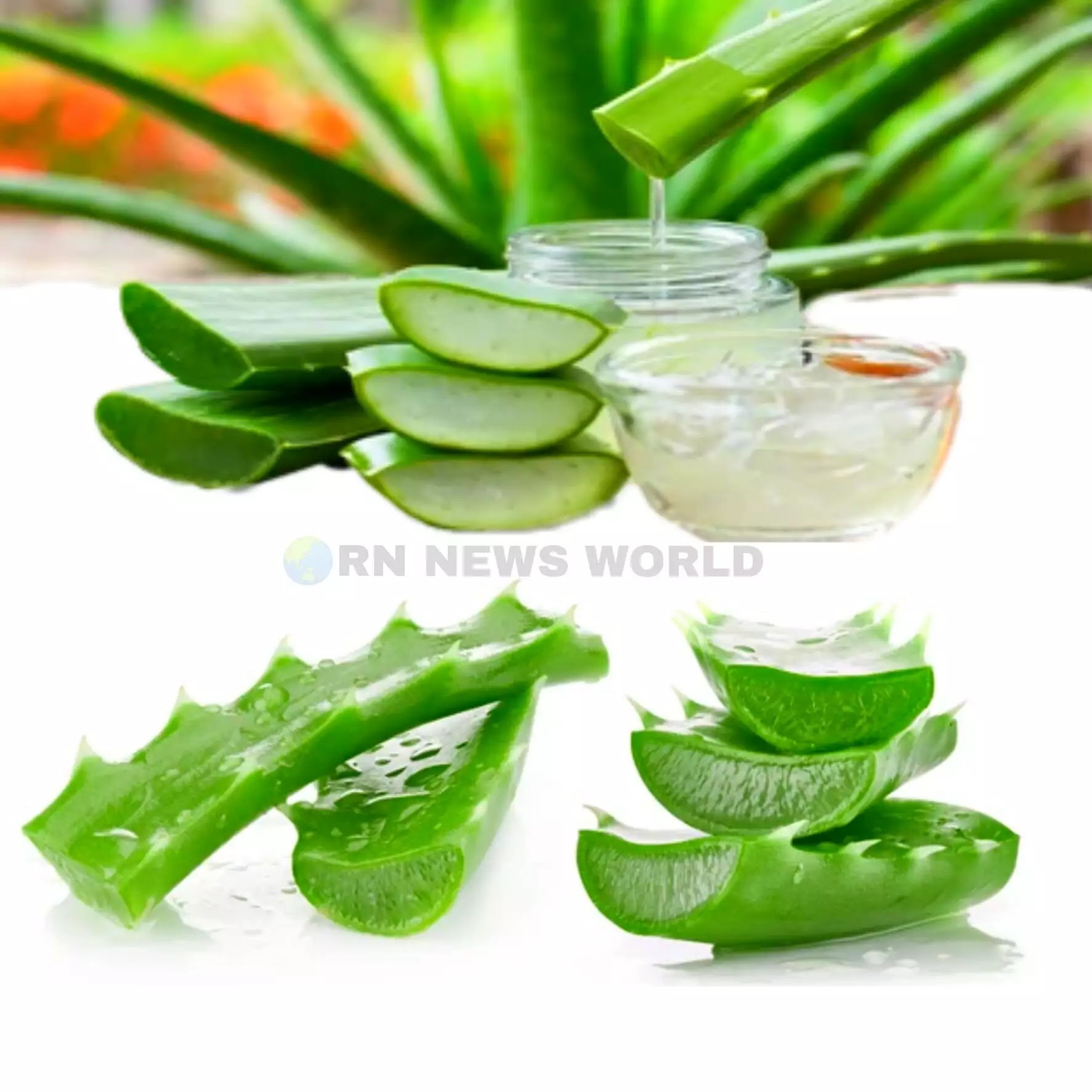 use of Aloevera Gel for Pimples Dark Spots Remove